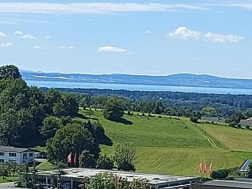 Foto - Sehr schöne vollmöbilierte Einzimmer-Wohnung in Tettnang