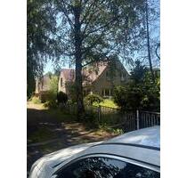 Großes WohnGewerbegrundstück, viel Grün - Elsterwerda