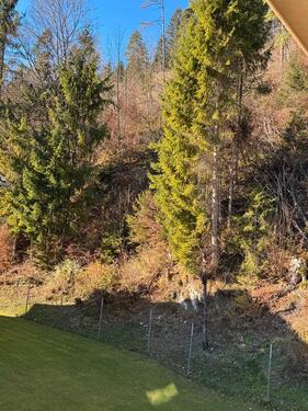 Foto - Etagenwohnung in Garmisch-Partenkirchen zur Miete