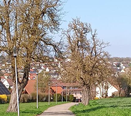 Foto - 1 Zimmer Etagenwohnung zur Miete in Erbach