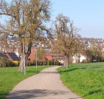 Foto - 1 Zimmer Etagenwohnung in Erbach
