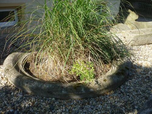 Foto - 1 RaumWohng City 49m2 Kü.Diele Bad Stellpl.