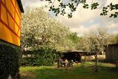 Foto - Einfamilienhaus in Burgthann zum Kaufen