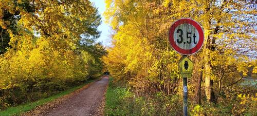 Foto - Schönes EFH St. Jürgen 206qm nahe LSG