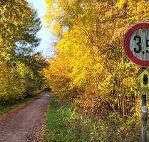 Schönes EFH St. Jürgen 206qm nahe LSG - Lübeck Sankt Jürgen