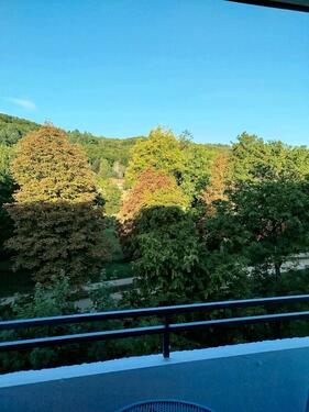 Foto - Helle 2-Zimmer-Wohnung mit Blick auf Park und Saale