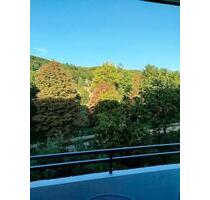 Helle 2-Zimmer-Wohnung mit Blick auf Park und Saale - Bad Kissingen