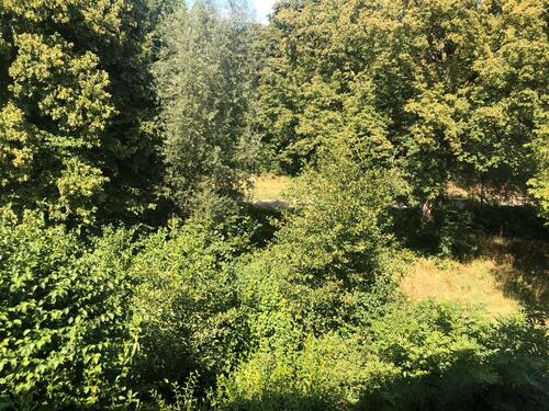 Foto - Einfamilienhaus zum Kaufen in Paderborn