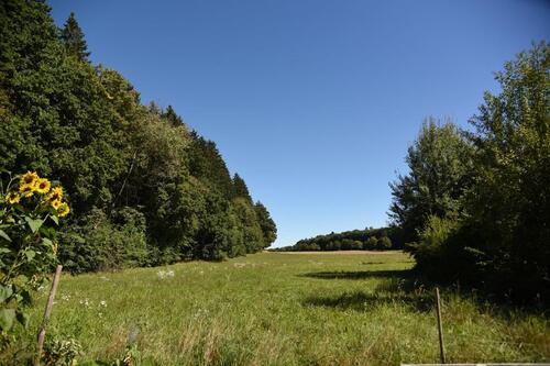 Foto - Grundst&uuml;ck in Hohenlinden zur Miete