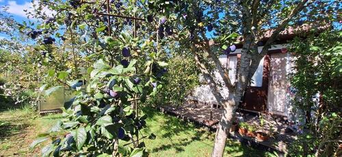 Foto - Grundstück zur Miete in Greifswald