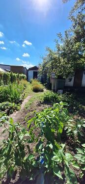 Foto - Grundstück in Greifswald zur Miete