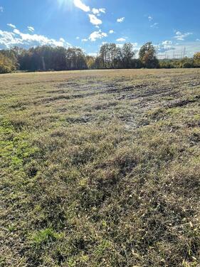 Foto - andere in München