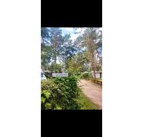 Dauerstellplatz - Campingplatz am Klempowsee **OHNE WOHNWAGEN** - Neuruppin