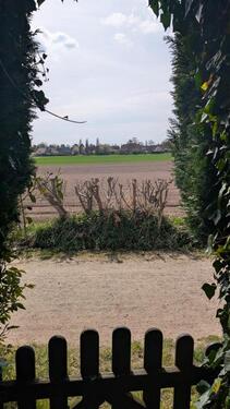 Foto - Einfamilienhaus in Buxtehude zum Kaufen