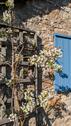 Foto - Einfamilienhaus in Essen zum Kaufen
