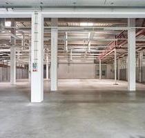 Schnell verfügbar: LagerLogistikfläche in frequentierter Lage mit Tageslicht - Mainz Ebersheim