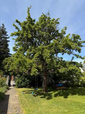 Foto - Einfamilienhaus in Berlin zum Kaufen