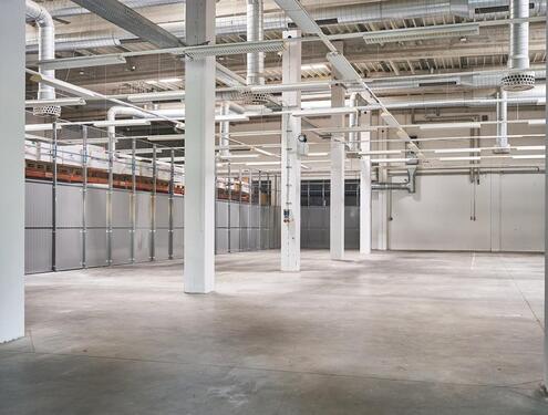 Foto - andere in Mainz