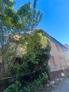Foto - Einfamilienhaus in Lauingen (Donau)