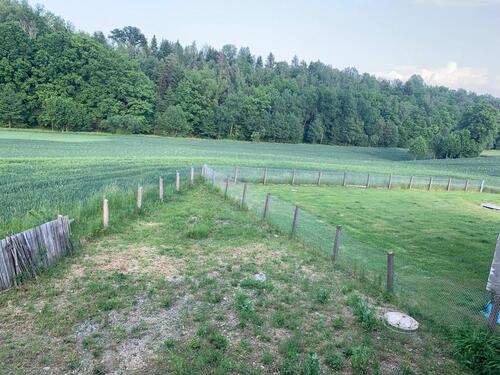 Foto - Einfamilienhaus in Mohlsdorf-Teichwolframsdorf