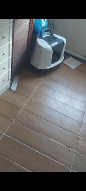 Foto - Etagenwohnung in Werdau zur Miete