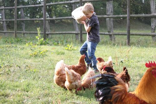 Foto - andere zur Miete in Fehmarn