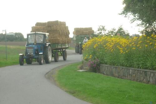 Foto - andere in Fehmarn zur Miete