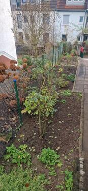 Foto - Einfamilienhaus in Stuttgart