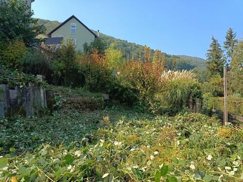Foto - Einfamilienhaus in Maikammer