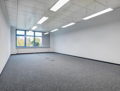 Foto - andere in Mainz