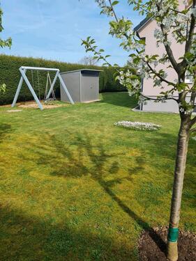 Foto - andere in Theilenhofen