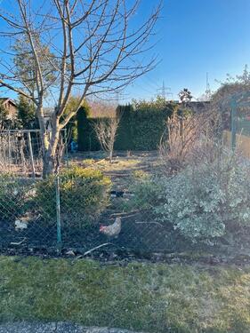 Foto - Grundst&uuml;ck zur Miete in Wolfsburg