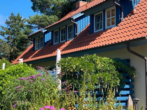 Foto - Last Minute Ostseebad Prerow Ferienhaus 14.09.-21.09.2025