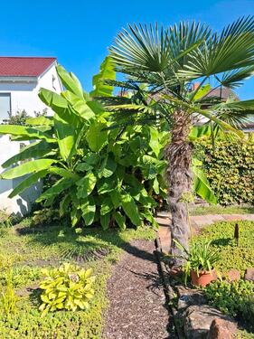 Foto - Wohnhaus für die Großfamilie - 460.000,00 EUR Kaufpreis,