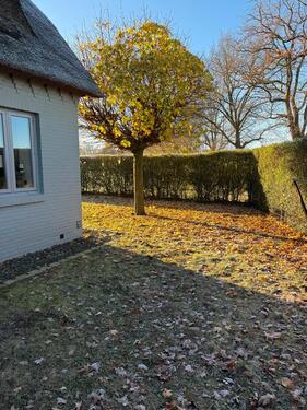 Foto - Hamburger Speckgürtel:Reetdach-Landhaus Wittenbergen