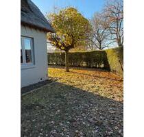 Hamburger Speckgürtel:Reetdach-Landhaus Wittenbergen - Kellinghusen