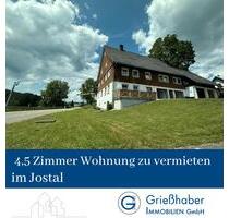 idyllische 4,5 Zimmerwohnung im Jostal - Titisee-Neustadt