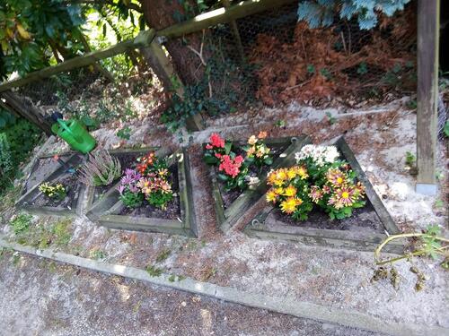 Foto - Grundst&uuml;ck in Oldenburg zur Miete