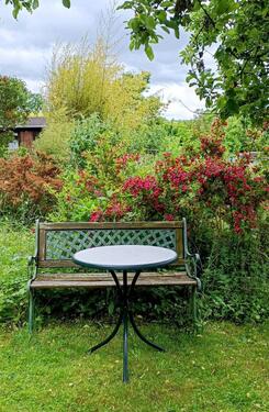 Foto - Kleingarten in Limbach-Oberfrohna