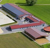 Günstige Wohnmöglichkeit gegen Mithilfe bei der Pferdepflege - Gerstetten