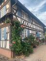 Foto - 8 Zimmer Mehrfamilienhaus, Wohnhaus in Leimersheim