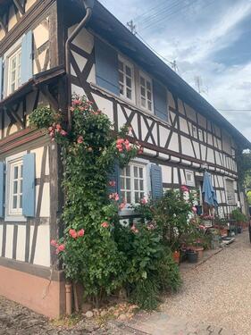 Foto - 8 Zimmer Mehrfamilienhaus, Wohnhaus in Leimersheim