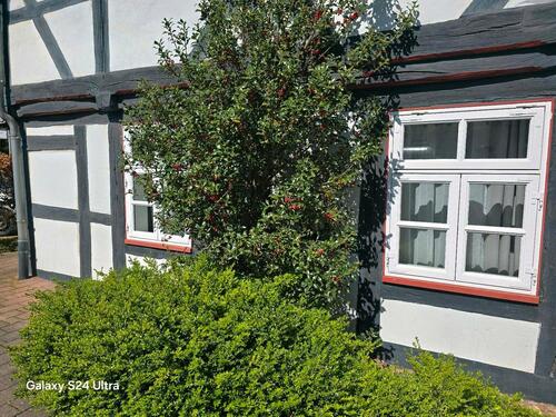 Foto - 1 Zimmer Erdgeschoßwohnung zur Miete in Börßum