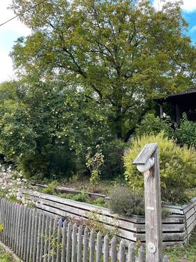 Foto - 3 Zimmer Einfamilienhaus zur Miete in Altomünster