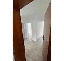 **frisch renoviert** 2-Zimmer Wohnung, 50qm, Balkon - Salzgitter Ortschaft Südost