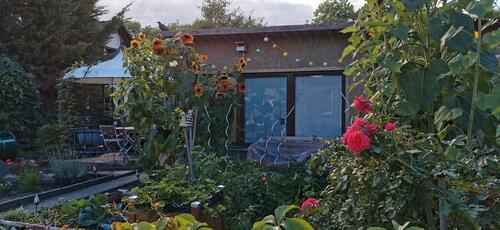 Foto - Grundstück zur Miete in Senftenberg