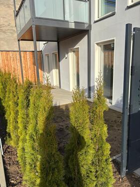 Foto - Mietwohnung 1 – Erstbezug Breite Straße 3941 „Hanse Hof“