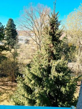 Foto - 1 Zimmer Etagenwohnung in Dresden