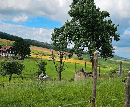 Foto - Grundstück in Gilserberg zur Miete