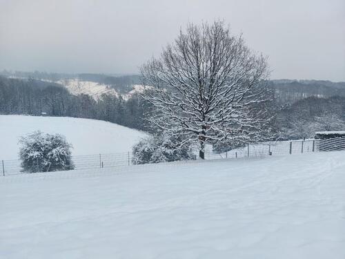 Foto - Bauernhaus, Landhaus in Windeck
